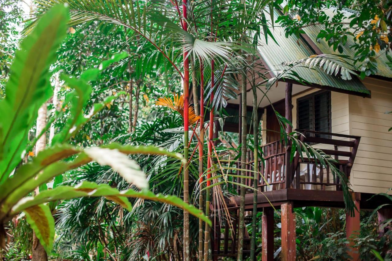 Tempat peranginan The Vatika And